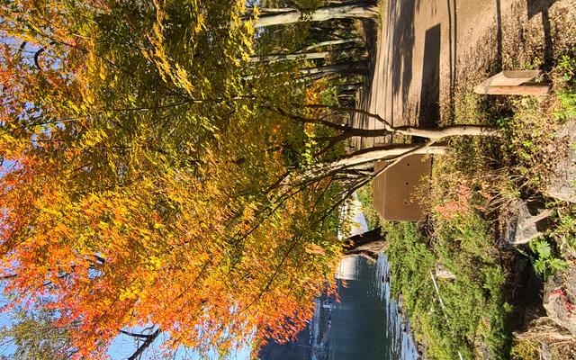 리뷰 대표 이미지