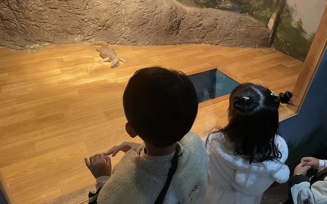 리뷰 대표 이미지