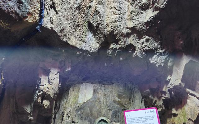 리뷰 대표 이미지