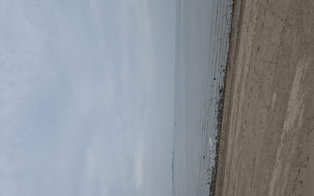 리뷰 대표 이미지