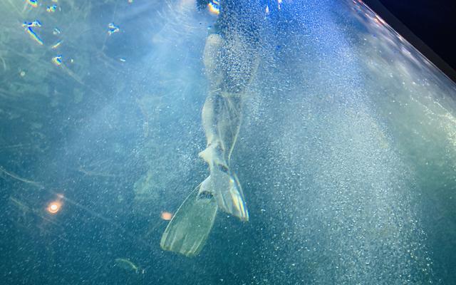 리뷰 대표 이미지