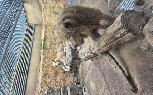 리뷰 대표 이미지