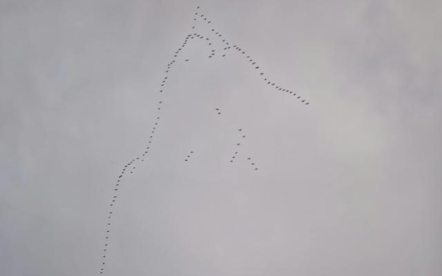 리뷰 대표 이미지