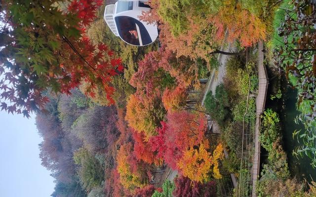 리뷰 대표 이미지