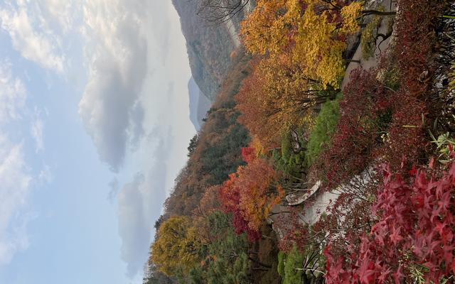 리뷰 대표 이미지