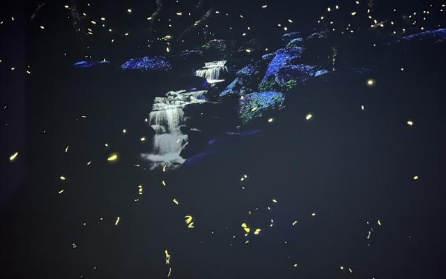 리뷰 대표 이미지