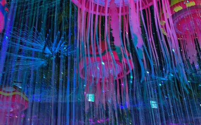 리뷰 대표 이미지