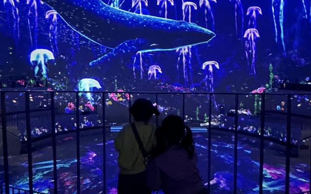 리뷰 대표 이미지