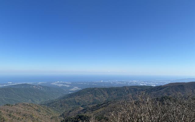 리뷰 대표 이미지