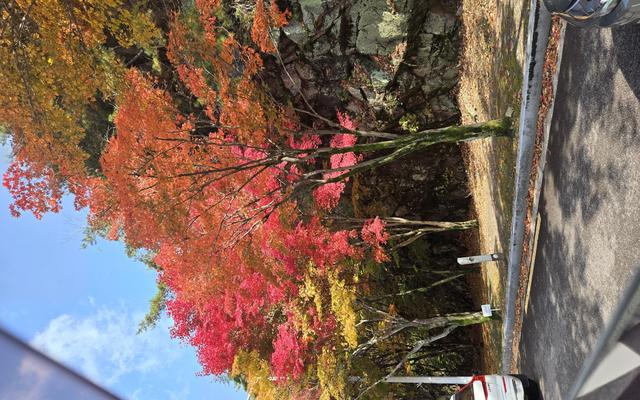 리뷰 대표 이미지