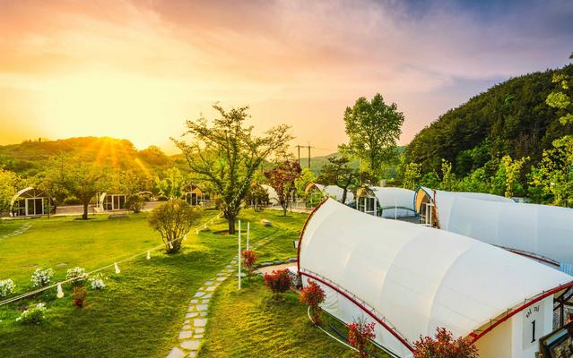 진주 피카푸피크닉앤글램핑 진주점