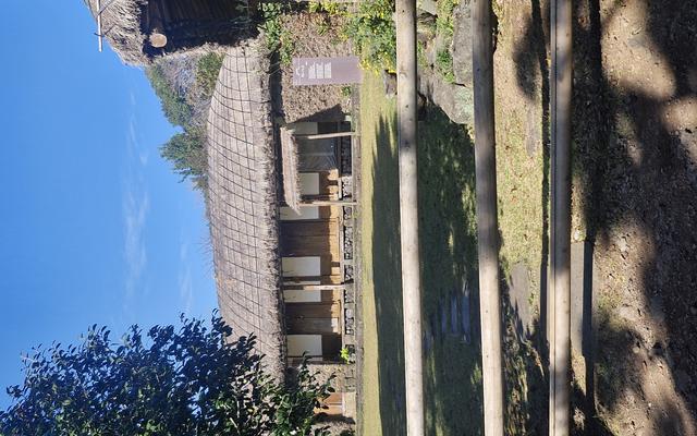 리뷰 대표 이미지