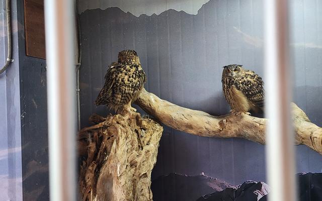 리뷰 대표 이미지