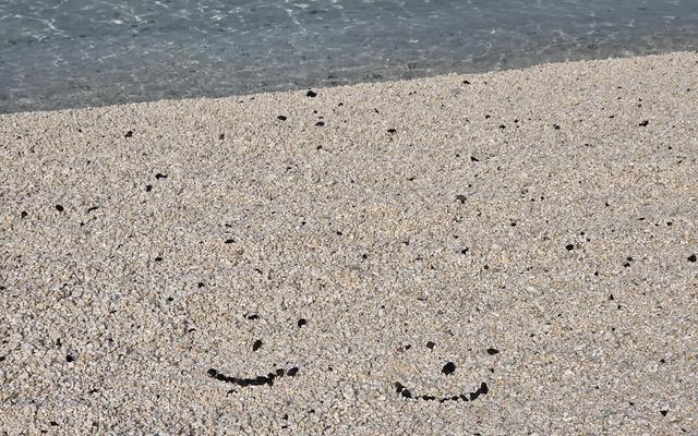 리뷰 대표 이미지