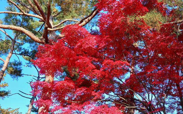 리뷰 대표 이미지