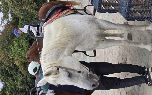 리뷰 대표 이미지