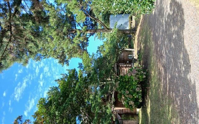 리뷰 대표 이미지