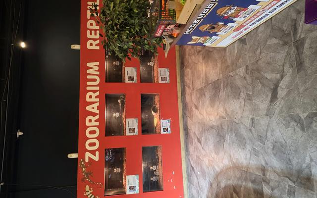 리뷰 대표 이미지