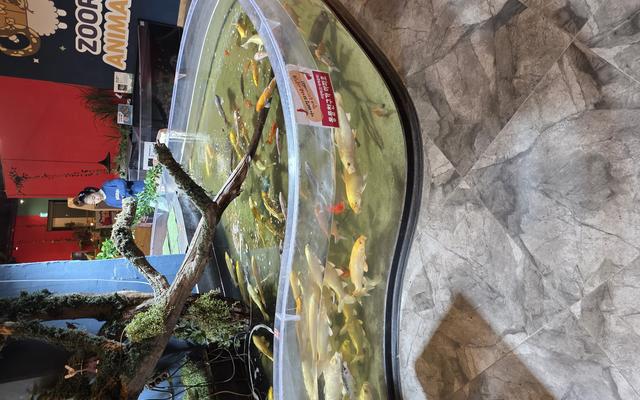 리뷰 대표 이미지