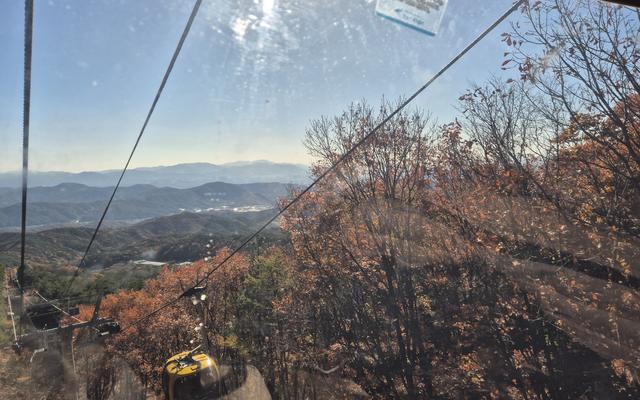 리뷰 대표 이미지