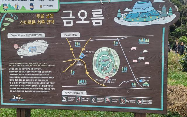 리뷰 대표 이미지