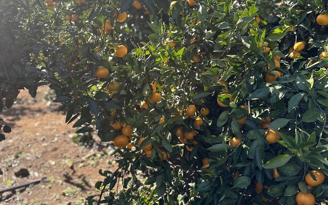 리뷰 대표 이미지