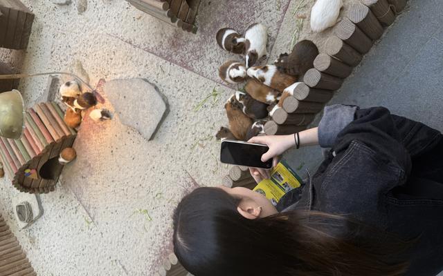 리뷰 대표 이미지