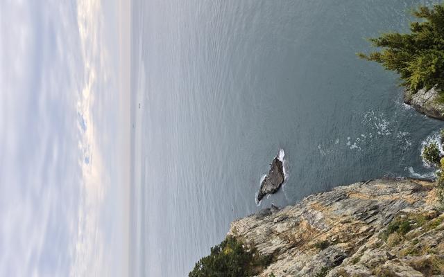 리뷰 대표 이미지