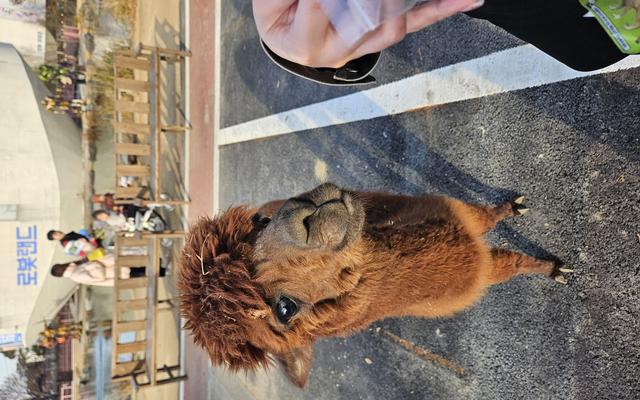 리뷰 대표 이미지