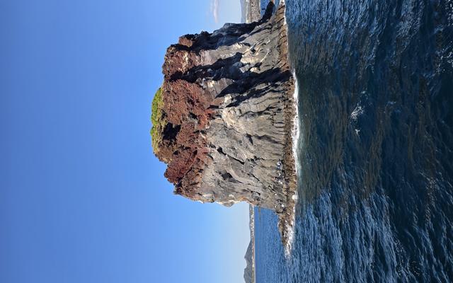 리뷰 대표 이미지