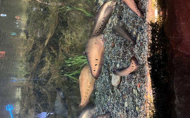 리뷰 대표 이미지