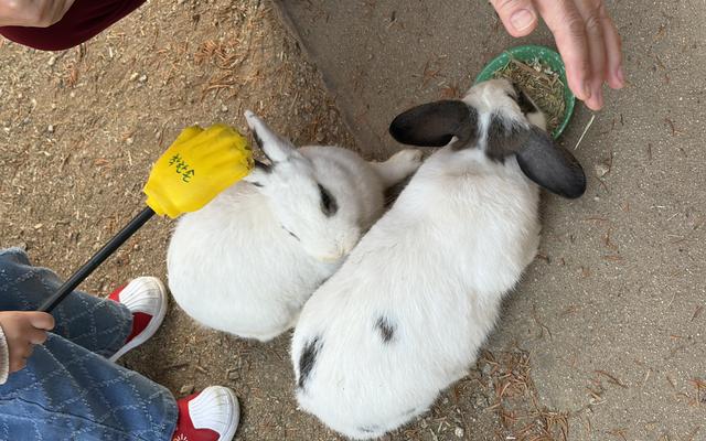 리뷰 대표 이미지