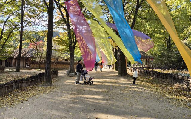 리뷰 대표 이미지