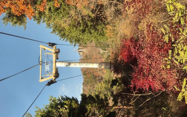 리뷰 대표 이미지