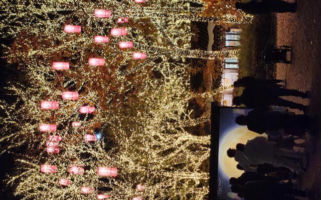 리뷰 대표 이미지