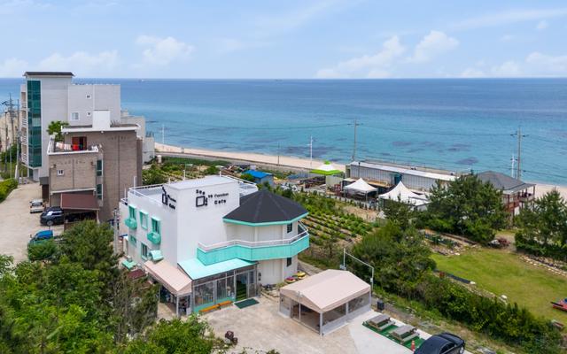 강릉 Sea멍s애견펜션