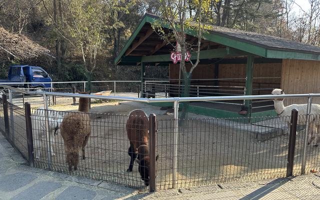 리뷰 대표 이미지