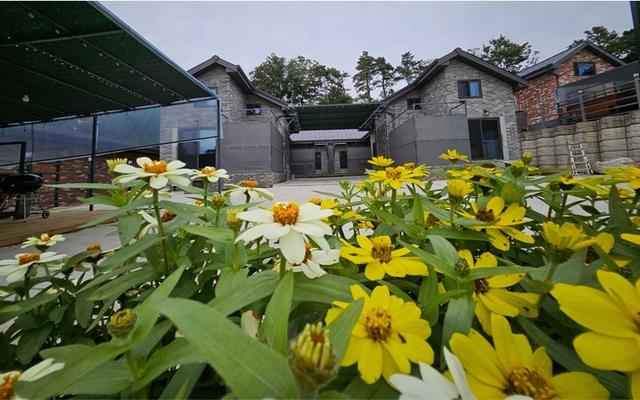 청양 칠갑산황토펜션3 사진