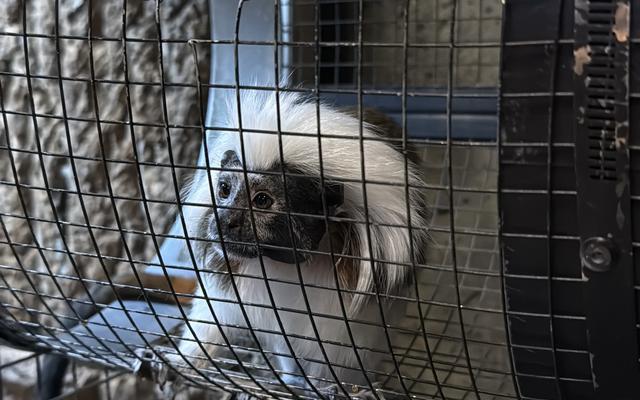 리뷰 대표 이미지