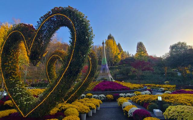 리뷰 대표 이미지