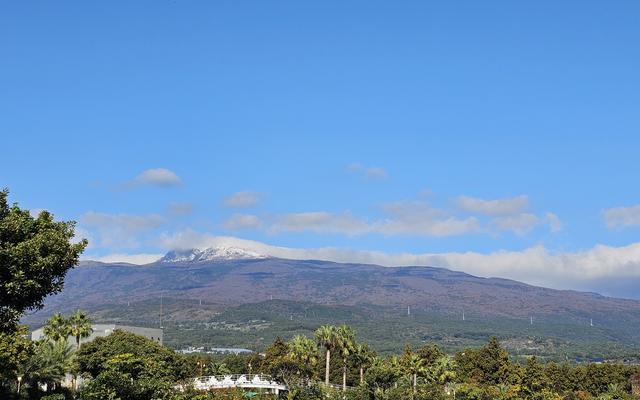 리뷰 대표 이미지