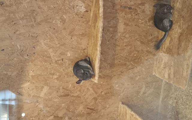 리뷰 대표 이미지