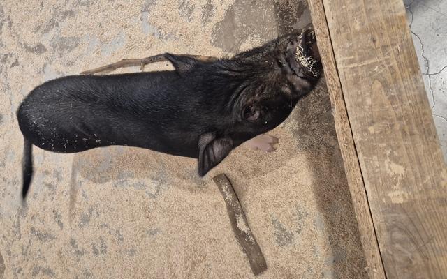 리뷰 대표 이미지