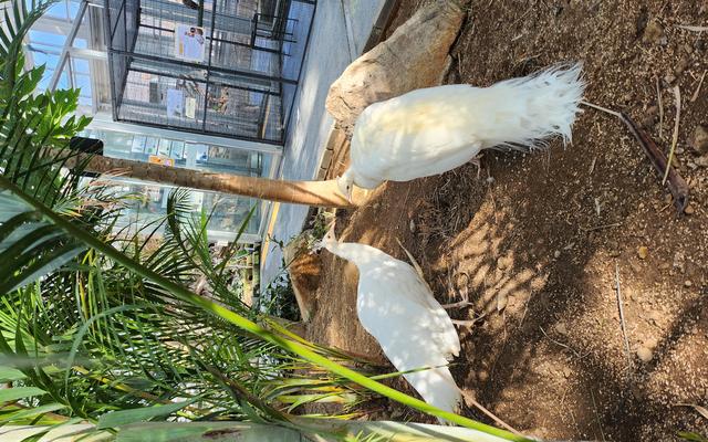 리뷰 대표 이미지