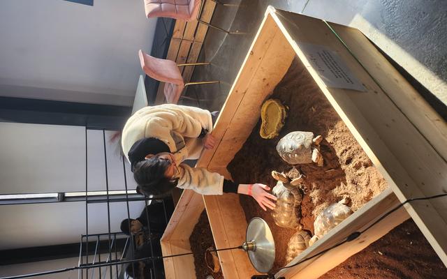 리뷰 대표 이미지