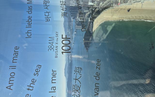 리뷰 대표 이미지