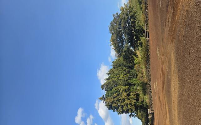 리뷰 대표 이미지