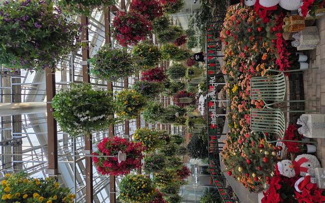 리뷰 대표 이미지