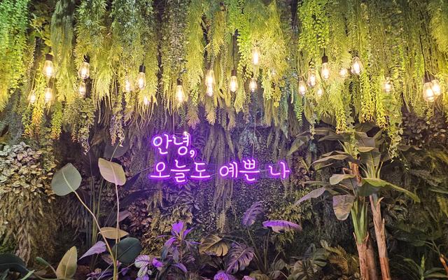 리뷰 대표 이미지