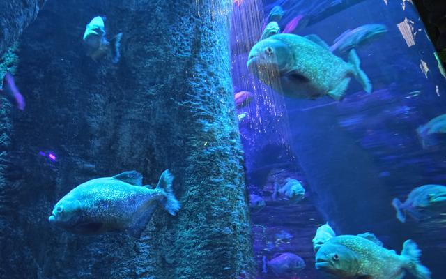 리뷰 대표 이미지